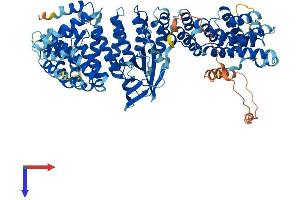 AlphaFold protein structure predicition of Human Recombinant AP1G2 Protein, UniprotID O75843