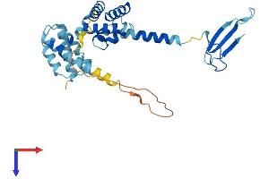 AlphaFold protein structure predicition of Human Recombinant TCEA2 Protein, UniprotID Q15560