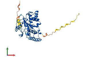 AlphaFold protein structure predicition of Mouse Recombinant Sult2b1 Protein, UniprotID O35400