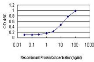 Detection limit for recombinant GST tagged HSF2 is approximately 0.