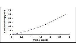 Typical standard curve (PLG Kit ELISA)