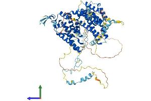 AlphaFold protein structure predicition of Mouse Recombinant Ascc2 Protein, UniprotID Q91WR3