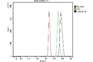Flow Cytometry analysis of HepG2 cells using anti-TMEM104 antibody (ABIN7602596). (TMEM104 anticorps  (AA 88-448))