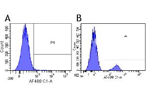Flow-cytometry using anti-CD22 antibody Epratuzumab   Human lymphocytes were stained with an isotype control (panel A) or the rabbit-chimeric version of Eptratuzumab ( panel B) at a concentration of 1 µg/ml for 30 mins at RT.