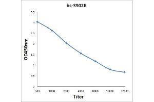 Antigen: 2 µg/100 µL  Primary: Antiserum, 1:500, 1:1000, 1:2000, 1:4000, 1:8000, 1:16000, 1:32000;  Secondary: HRP conjugated Rabbit Anti-Goat IgG at 1: 5000;  TMB staining Read the data in Microplate Reader by 450nm.