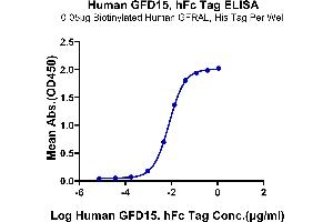 Immobilized Biotinylated Human GFRAL, His Tag at 0. (GDF15 Protein (AA 197-308) (hFc Tag))