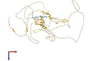 AlphaFold protein structure predicition of Mouse Recombinant Rai2 Protein, UniprotID Q9QVY8