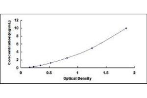 Typical standard curve (VPS37A Kit ELISA)