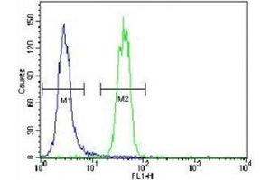 SUMO1 antibody flow cytometric analysis of HeLa cells (green) compared to a negative control (blue).