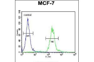 Flow cytometric analysis of MCF-7 cells (right histogram) compared to a negative control cell (left histogram). (AVPI1 anticorps  (N-Term))