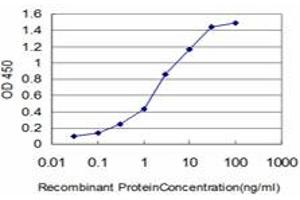 Detection limit for recombinant GST tagged HELZ is approximately 0. (HELZ anticorps  (AA 1-100))