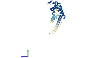 AlphaFold protein structure predicition of Mouse Recombinant Arl2bp Protein, UniprotID Q9D385