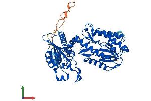 AlphaFold protein structure predicition of Human Recombinant XPNPEP3 Protein, UniprotID Q9NQH7