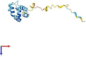 AlphaFold protein structure predicition of Human Recombinant PEA15 Protein, UniprotID Q15121