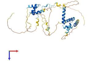 AlphaFold protein structure predicition of Human Recombinant CUEDC1 Protein, UniprotID Q9NWM3