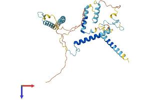 AlphaFold protein structure predicition of Mouse Recombinant Mbip Protein, UniprotID Q99LQ1