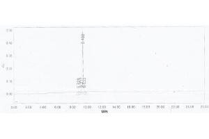Image no. 1 for Heparanase (HPSE) protein (Ovalbumin) (ABIN1880256) (HPSE Protein (Ovalbumin))