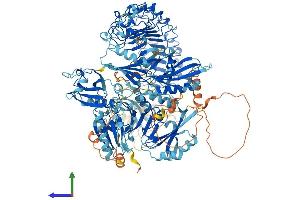 AlphaFold protein structure predicition of Mouse Recombinant Flii Protein, UniprotID Q9JJ28