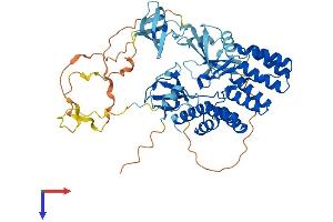 AlphaFold protein structure predicition of Human Recombinant NCF2 Protein, UniprotID P19878
