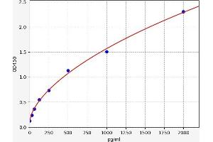 Typical standard curve (MBP/MBL Kit ELISA)