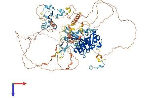 AlphaFold protein structure predicition of Human Recombinant LPIN3 Protein, UniprotID Q9BQK8