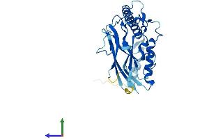 AlphaFold protein structure predicition of Human Recombinant ATP1B3 Protein, UniprotID P54709