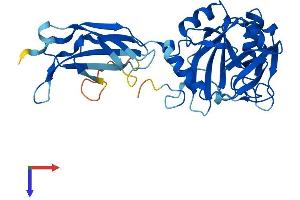 AlphaFold protein structure predicition of Mouse Recombinant Phyhip Protein, UniprotID Q8K0S0