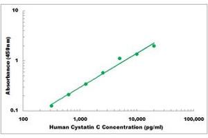 Representative Standard Curve