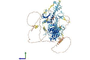 AlphaFold protein structure predicition of Mouse Recombinant Nemf Protein, UniprotID Q8CCP0