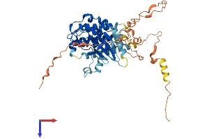 AlphaFold protein structure predicition of Human Recombinant MKNK1 Protein, UniprotID Q9BUB5