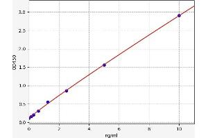 Typical standard curve (TALDO1 Kit ELISA)