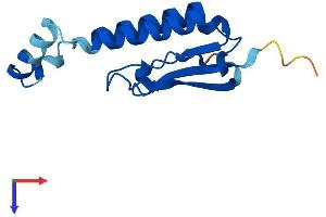 AlphaFold protein structure predicition of Human Recombinant GOLGA7 Protein, UniprotID Q7Z5G4