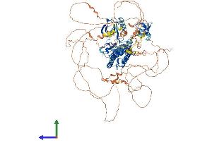 AlphaFold protein structure predicition of Mouse Recombinant Map3k9 Protein, UniprotID Q3U1V8