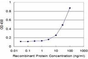 anti-Homeobox C5 (HOXC5) (AA 1-68) antibody