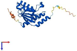 AlphaFold protein structure predicition of Human Recombinant ADAT2 Protein, UniprotID Q7Z6V5