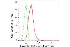 Flow cytometric analysis of Galectin 3 expression in C2C12 cells using Galectin 3 antibody (ABIN7798688), 1:2,000). (Recombinant Galectin 3 anticorps)