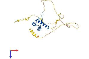 AlphaFold protein structure predicition of Human Recombinant MIXL1 Protein, UniprotID Q9H2W2