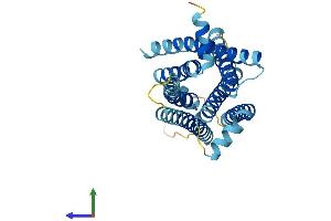 AlphaFold protein structure predicition of Human Recombinant TAS2R4 Protein, UniprotID Q9NYW5