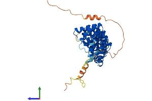 AlphaFold protein structure predicition of Human Recombinant PTCD2 Protein, UniprotID Q8WV60