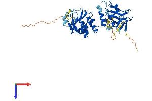 AlphaFold protein structure predicition of Human Recombinant DUSP12 Protein, UniprotID Q9UNI6