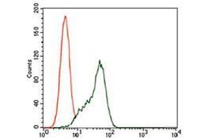 Flow cytometric analysis of K562 cells using STAT5A mouse mAb (green) and negative control (red). (STAT5A anticorps  (AA 583-794))