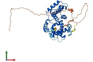 AlphaFold protein structure predicition of Human Recombinant CCNO Protein, UniprotID P22674