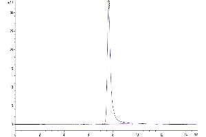 The purity of Human AREG is greater than 95 % as determined by SEC-HPLC.