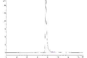 The purity of Human AREG is greater than 95 % as determined by SEC-HPLC. (Amphiregulin Protein (AREG) (AA 101-187) (Fc Tag))