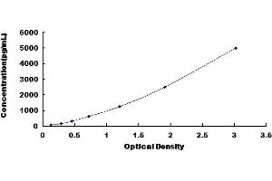 Typical Standard Curve for Mouse QSOX1 ELISA. (QSOX1 Kit ELISA)