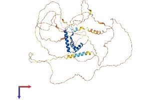 AlphaFold protein structure predicition of Human Recombinant TCF7L1 Protein, UniprotID Q9HCS4