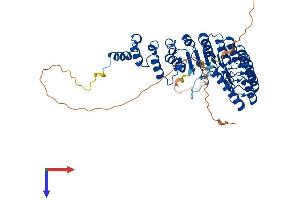 T-Complex-Associated-Testis-Expressed 1 (TCTE1) (AA 1-498) protein (His tag)