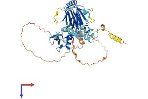 AlphaFold protein structure predicition of Mouse Recombinant Irf7 Protein, UniprotID P70434