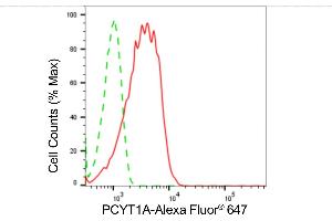 Flow cytometric analysis of PCYT1A expression in HepG2 cells using PCYT1A antibody (ABIN7799789), 1:2,000). (Recombinant PCYT1A anticorps)