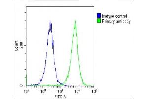 Overlay histogram showing Hela cells stained with B(green line).